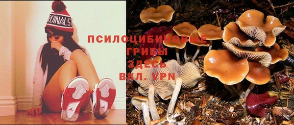 прущий лед Балабаново